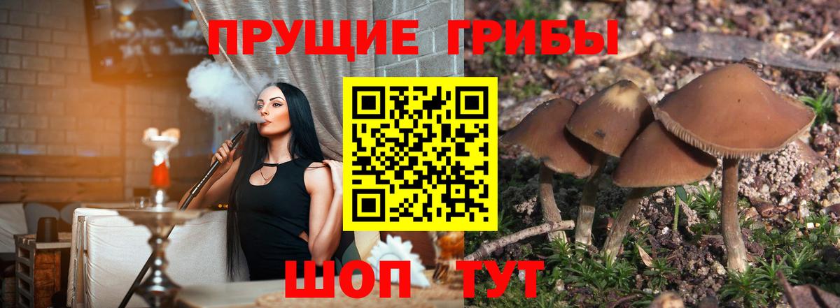 купить закладку  Вход с VPN  Галлюциногенные грибы Magic Shrooms  Бирск  Псилоцибиновые грибы MAGIC MUSHROOMS 